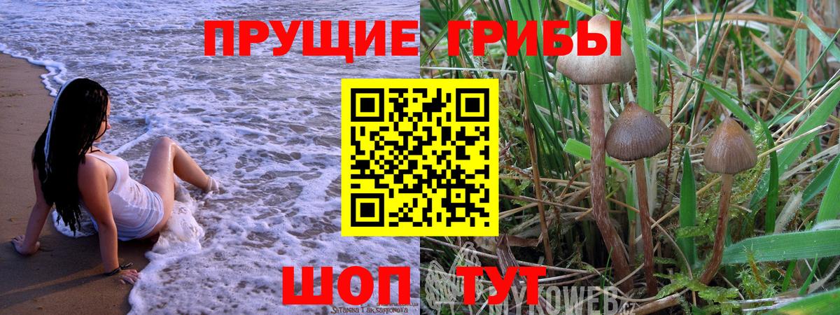 Галлюциногенные грибы мицелий Губкинский